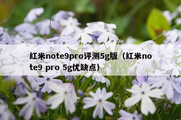 红米note9pro评测5g版（红米note9 pro 5g优缺点）