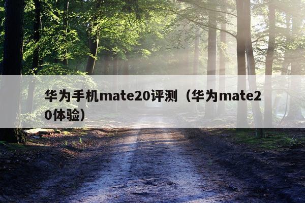 华为手机mate20评测（华为mate20体验）