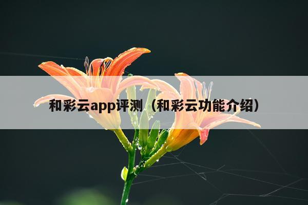 和彩云app评测（和彩云功能介绍）