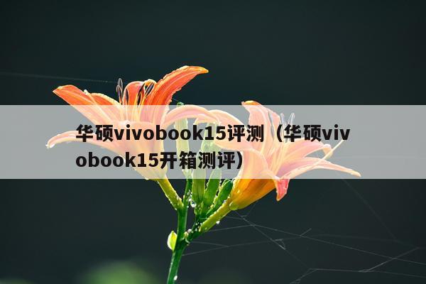 华硕vivobook15评测（华硕vivobook15开箱测评）