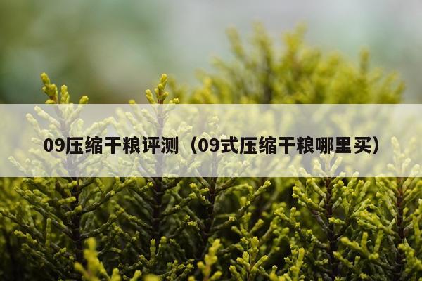 09压缩干粮评测（09式压缩干粮哪里买）