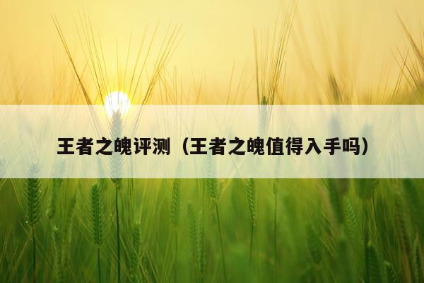 王者之魄评测（王者之魄值得入手吗）