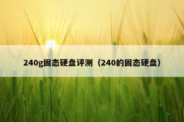 240g固态硬盘评测（240的固态硬盘）