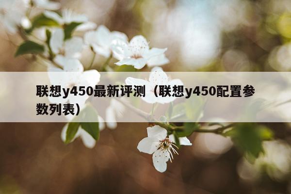 联想y450最新评测（联想y450配置参数列表）
