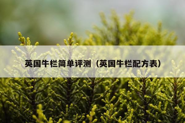 英国牛栏简单评测（英国牛栏配方表）