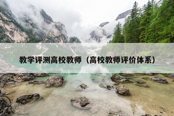教学评测高校教师（高校教师评价体系）