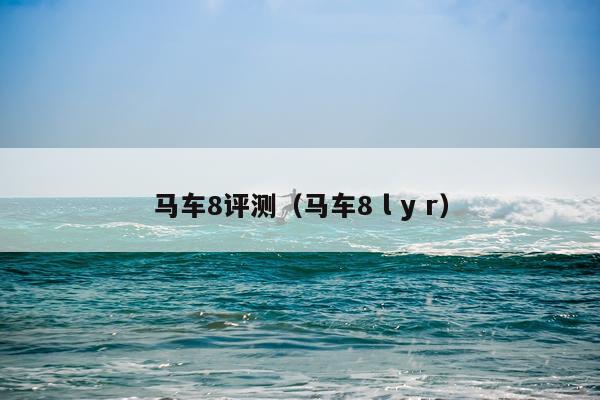 马车8评测（马车8 l y r）
