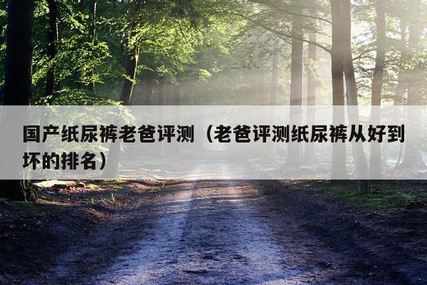 国产纸尿裤老爸评测（老爸评测纸尿裤从好到坏的排名）