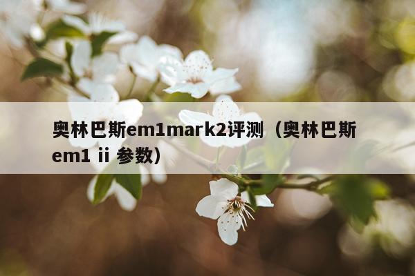 奥林巴斯em1mark2评测（奥林巴斯 em1 ii 参数）
