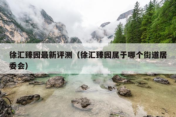 徐汇臻园最新评测（徐汇臻园属于哪个街道居委会）