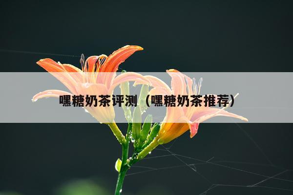 嘿糖奶茶评测（嘿糖奶茶推荐）