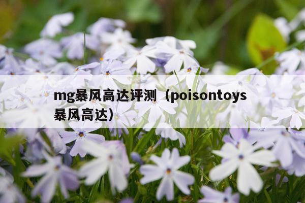 mg暴风高达评测（poisontoys 暴风高达）