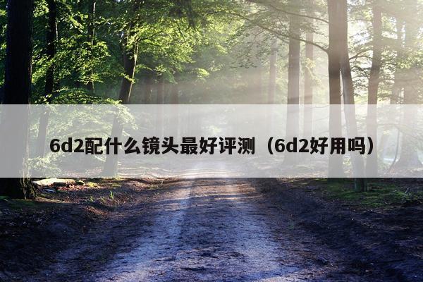 6d2配什么镜头最好评测（6d2好用吗）