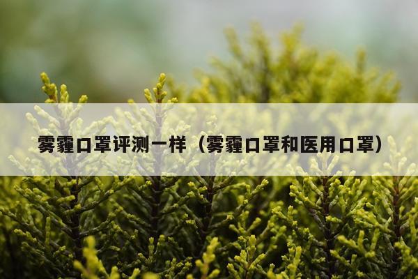 雾霾口罩评测一样（雾霾口罩和医用口罩）