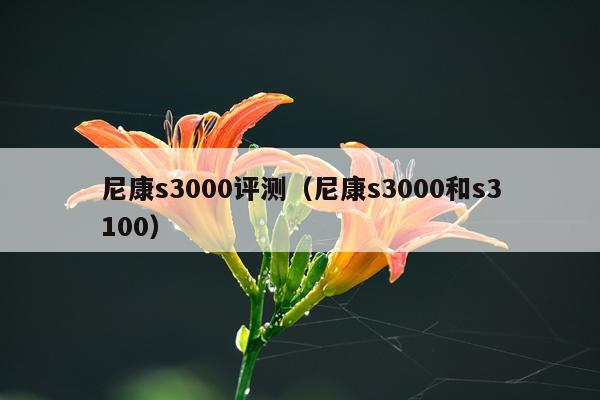 尼康s3000评测（尼康s3000和s3100）