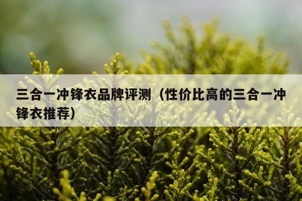 三合一冲锋衣品牌评测（性价比高的三合一冲锋衣推荐）