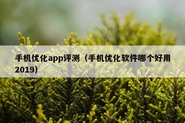 手机优化app评测（手机优化软件哪个好用2019）