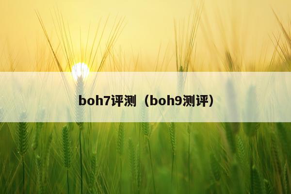 boh7评测（boh9测评）