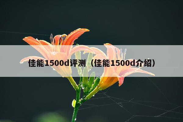 佳能1500d评测（佳能1500d介绍）