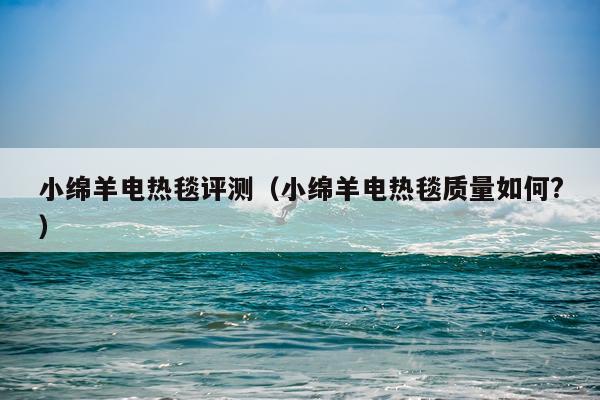 小绵羊电热毯评测（小绵羊电热毯质量如何?）