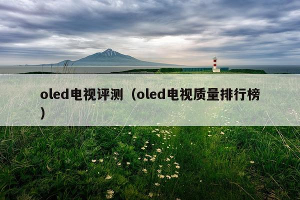 oled电视评测（oled电视质量排行榜）