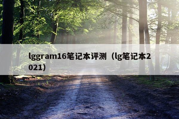 lggram16笔记本评测（lg笔记本2021）