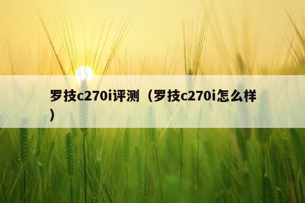 罗技c270i评测（罗技c270i怎么样）
