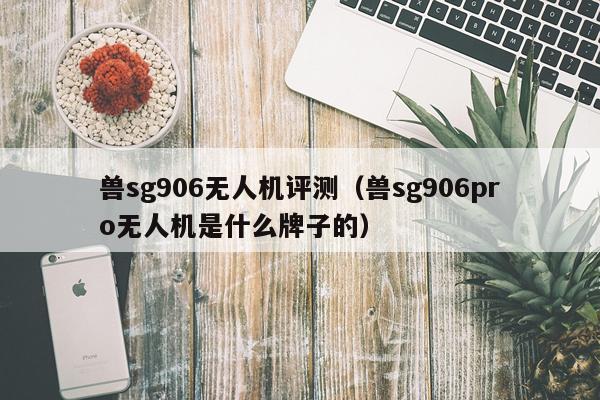 兽sg906无人机评测（兽sg906pro无人机是什么牌子的）