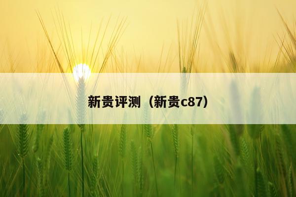 新贵评测（新贵c87）