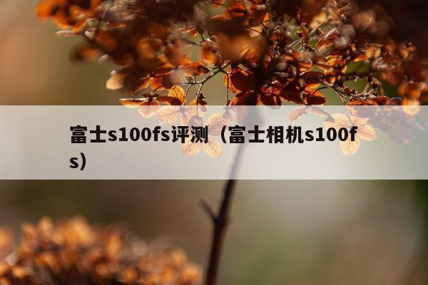 富士s100fs评测（富士相机s100fs）
