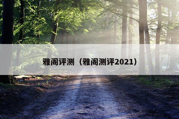 雅阁评测（雅阁测评2021）