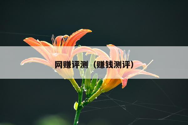 网赚评测（赚钱测评）