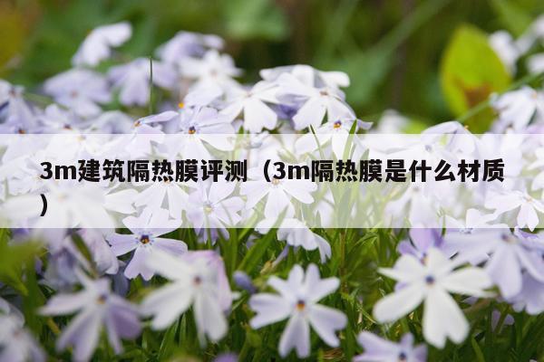 3m建筑隔热膜评测（3m隔热膜是什么材质）