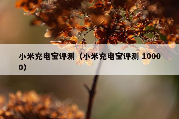 小米充电宝评测（小米充电宝评测 10000）