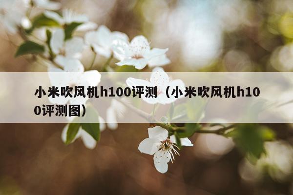 小米吹风机h100评测（小米吹风机h100评测图）