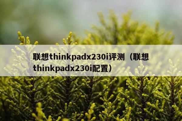 联想thinkpadx230i评测（联想thinkpadx230i配置）