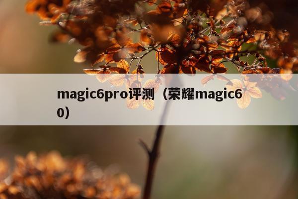 magic6pro评测（荣耀magic60）
