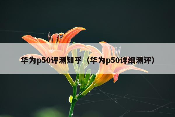华为p50评测知乎（华为p50详细测评）