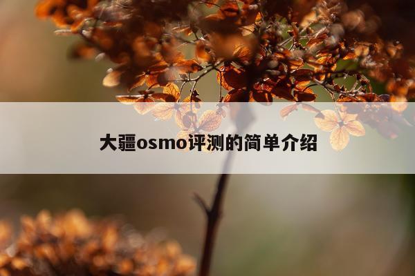 大疆osmo评测的简单介绍