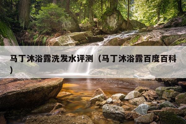 马丁沐浴露洗发水评测（马丁沐浴露百度百科）