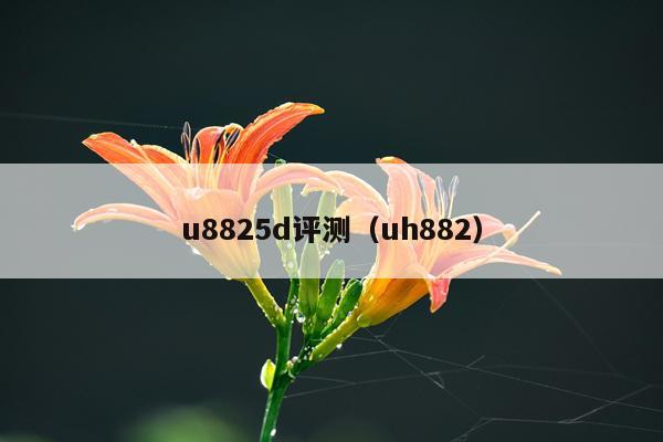 u8825d评测（uh882）