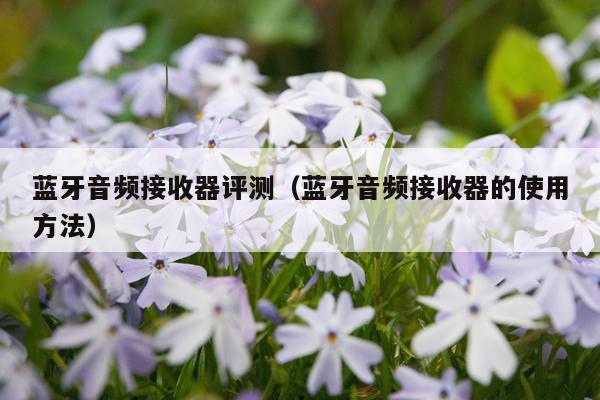 蓝牙音频接收器评测（蓝牙音频接收器的使用方法）