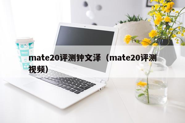mate20评测钟文泽（mate20评测视频）