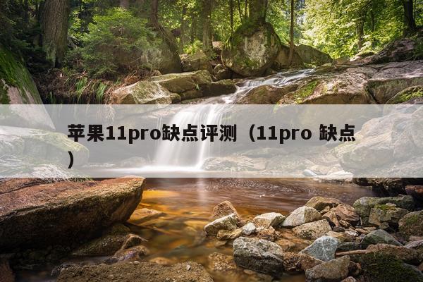 苹果11pro缺点评测（11pro 缺点）