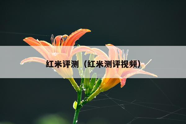红米评测（红米测评视频）