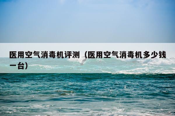 医用空气消毒机评测（医用空气消毒机多少钱一台）