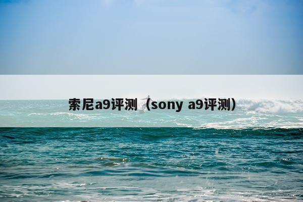 索尼a9评测（sony a9评测）