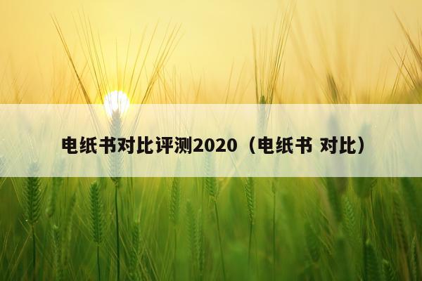 电纸书对比评测2020（电纸书 对比）