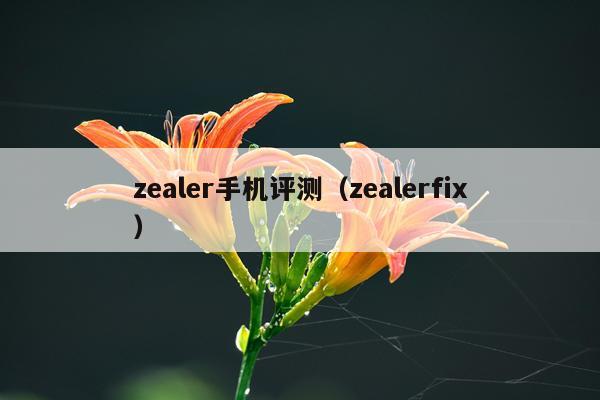 zealer手机评测（zealerfix）