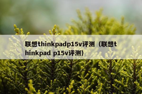 联想thinkpadp15v评测（联想thinkpad p15v评测）